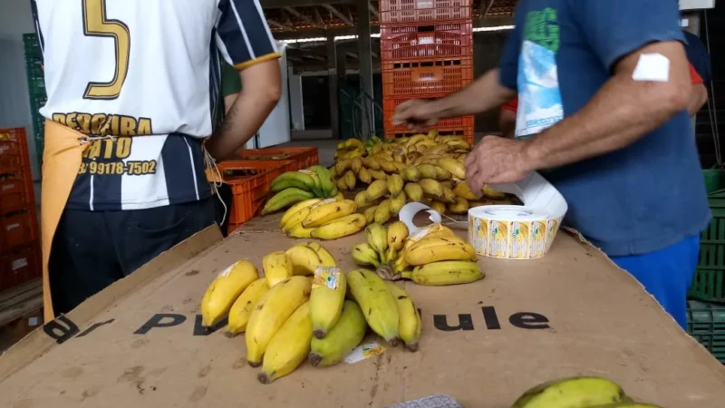 Orgânicos ganham espaço em busca de mais saúde durante a pandemia