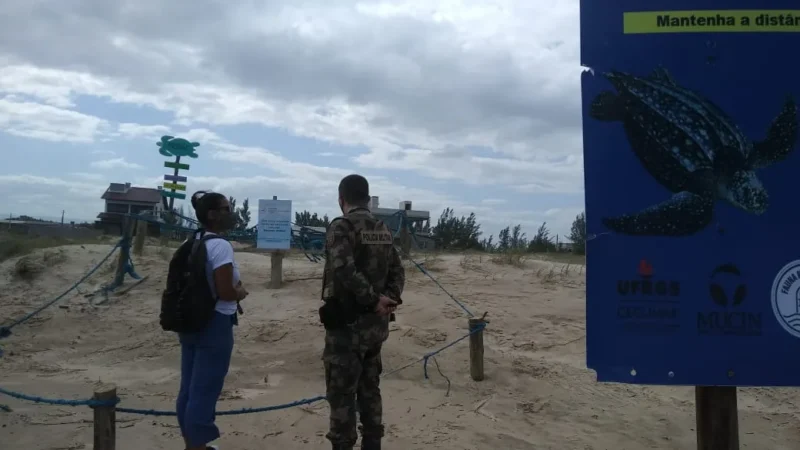 Balneário Gaivota: ressaca do mar ameaça ninhos de tartaruga-de-couro