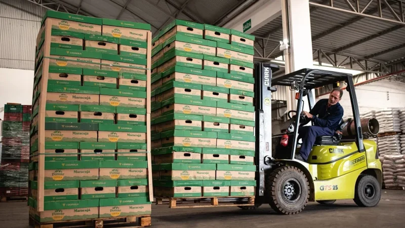 Associados Cooperja comemoram rendimento e qualidade superior na colheita de maracujá e pitaya