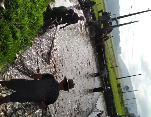Semana Santa consolida boas vendas de peixes