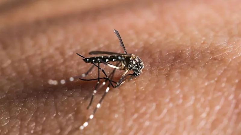 Criança com dengue alerta Sombrio para combate ao Aedes Aegypti