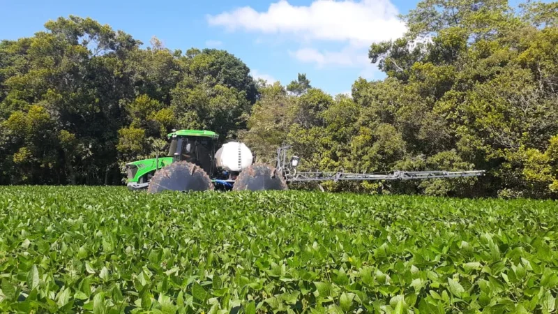 Soja: grão avança em áreas de arroz e milho