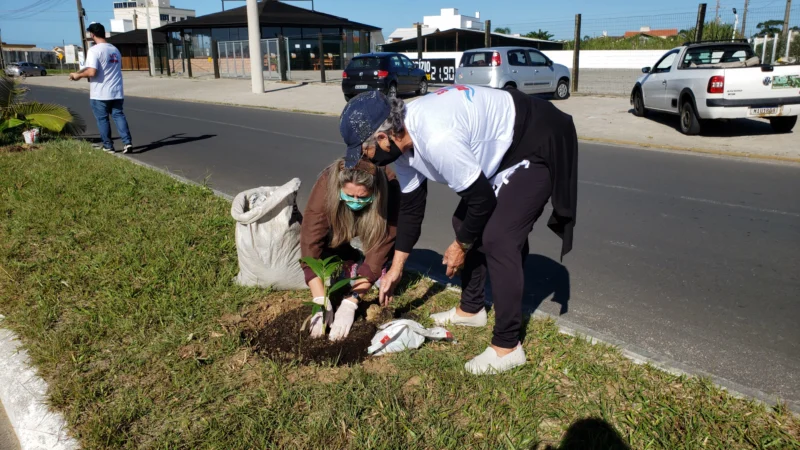 Voluntários plantam mudas em avenida de Arroio do Silva