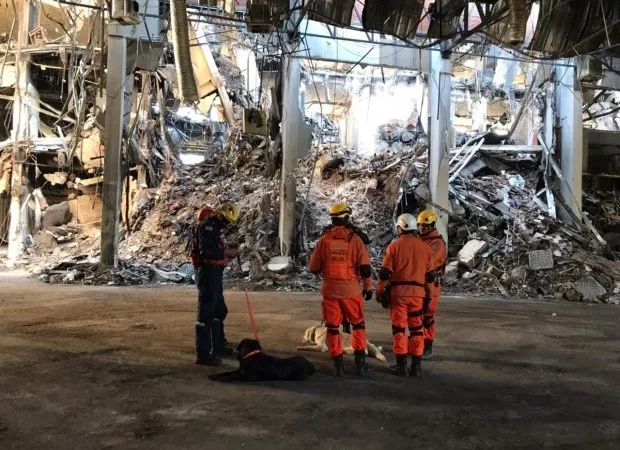 Equipe de cães do CBMSC atua em buscas por bombeiros no Rio Grande do Sul