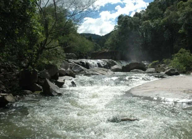 Comitês promovem ação sobre Segurança Hídrica no Setor Rural