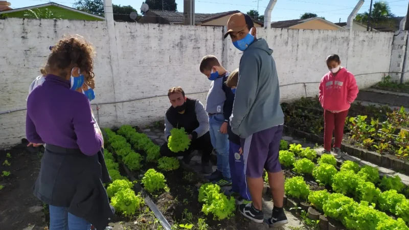 Cras doa hortaliças para escola Nova Divinéia