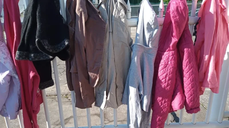 Voluntários Amigos do Arroio realizam ação neste sábado