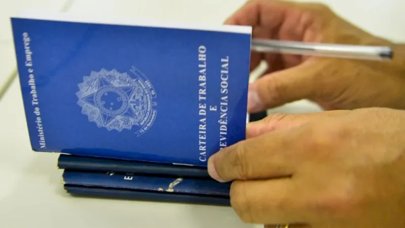 Pequenos negócios foram responsáveis por 80% dos novos empregos de SC em julho
