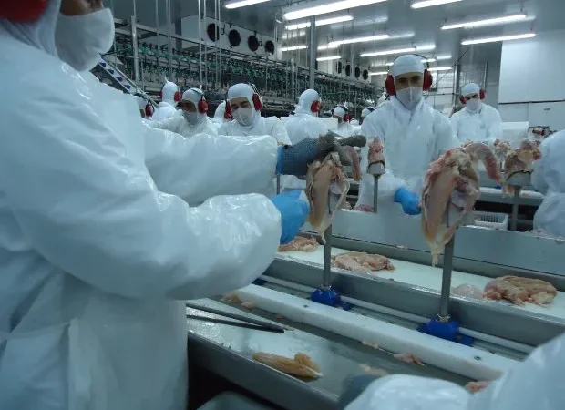 SC amplia a exportação de carnes e ultrapassa US$ 2 bilhões de faturamento em 2021