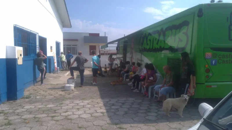 Mutirão: Em setembro 46 castrações gratuitas foram realizadas no Arroio