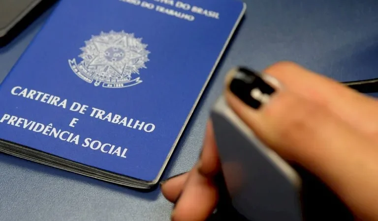 Setor de tecnologia de SC tem mais de 400 vagas de emprego abertas