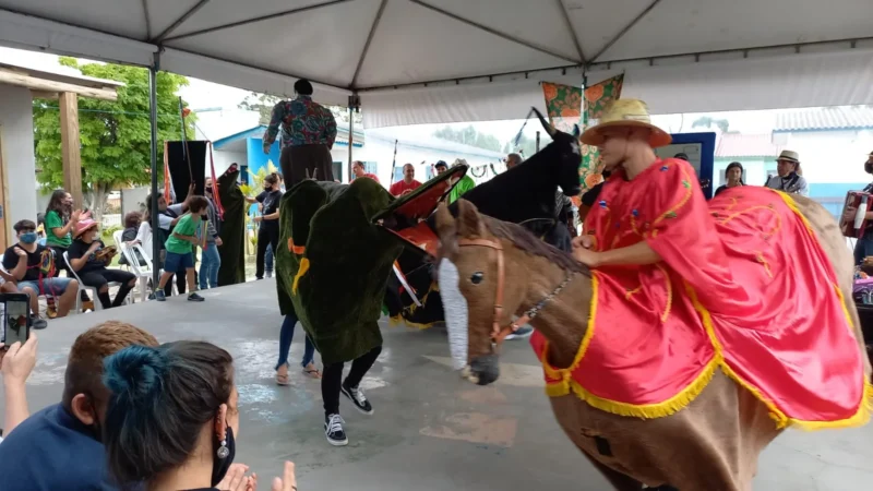 Encontro celebra cultura com Boi de Mamão