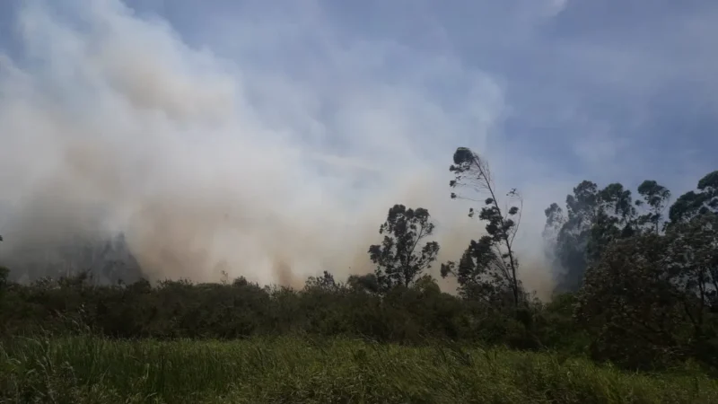 Araranguá volta a registrar incêndio em turfas