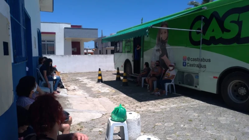 Com 9º mutirão, Arroio já soma 430 animais de rua castrados