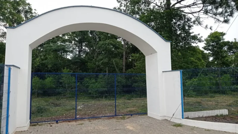 Começam trabalhos de limpeza no Parque Belinzoni