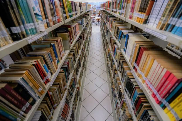 Estado anuncia contratação de profissionais diversos para educação