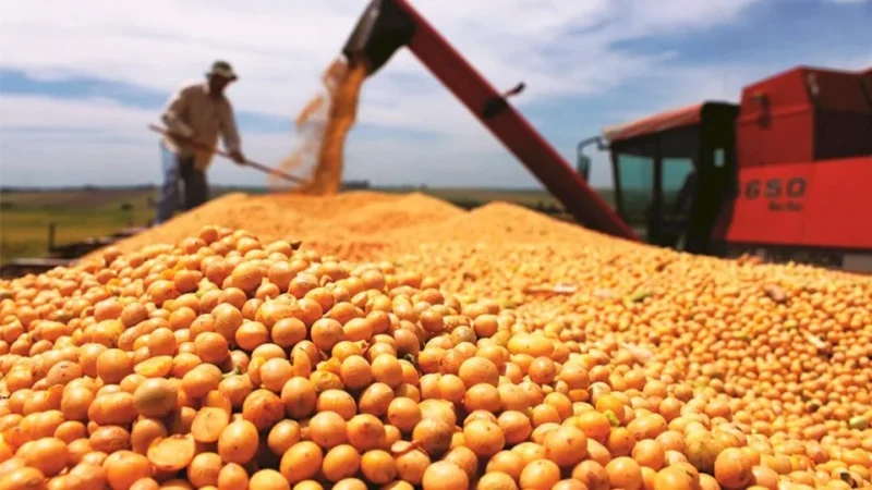 BRDE contrata quase 150% a mais para o Agronegócio