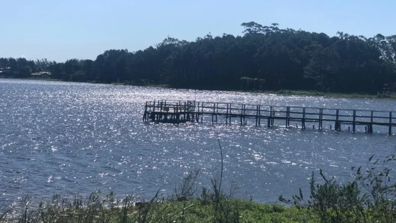 UMA FOTO OU MIL PALAVRAS?