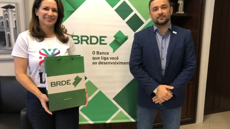 BRDE apresenta ações de apoio a projetos sociais para Rede Laço de Voluntariado