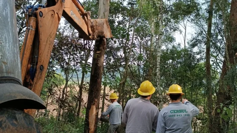Associados auxiliam para manter rede segura