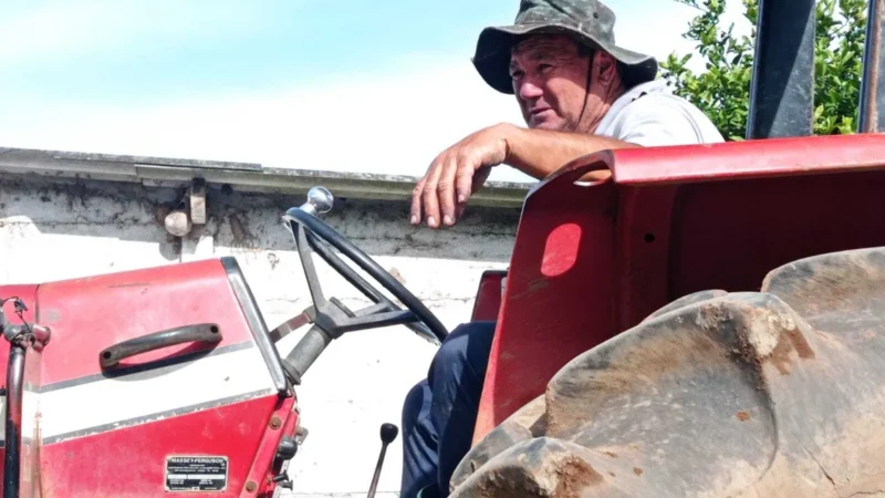 Chegada da rede de água do SAMAE estimula agricultores a fazerem investimentos