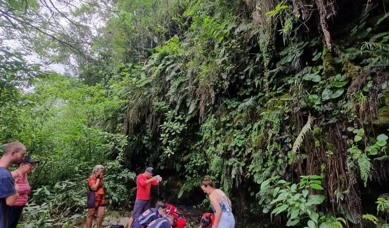 Choque de alta tensão acaba em morte