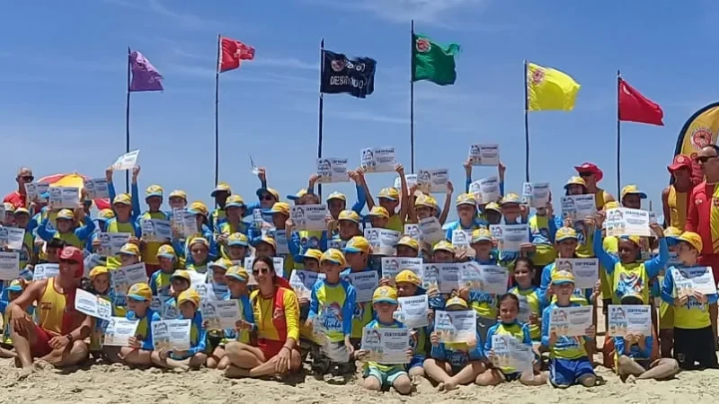 Novos Golfinhos na praia!