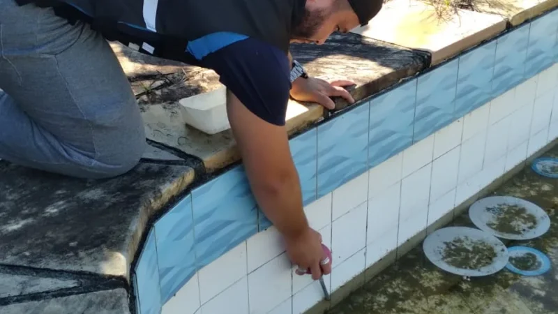 VIGILÂNCIA SANITÁRIA EM NOVA VISTORIA