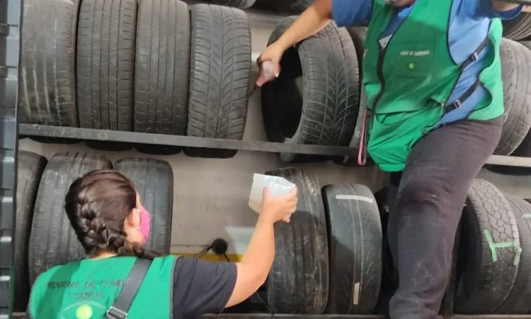 Dia D de Combate à Dengue em Sombrio: conscientização e apoio da população