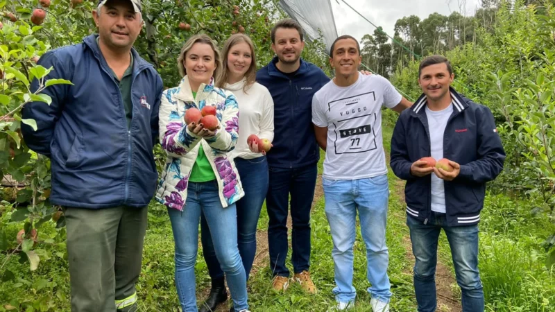 Produtores de maçã preocupados com a concorrência chinesa