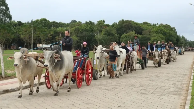 São João do Sul bate recorde nacional com 318 carros de boi desfilando durante a Festa do Colono