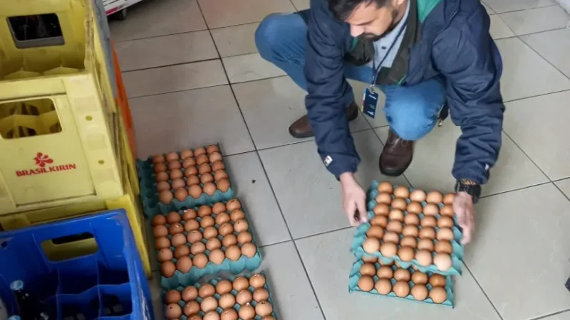 NOVA APREENSÃO DE ALIMENTOS VENCIDOS