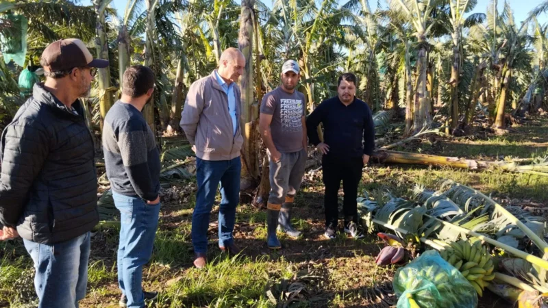Deputado Zé Mílton visita municípios da AMESC para avaliar danos causados pelo ciclone e discutir medidas de apoio aos bananicultores