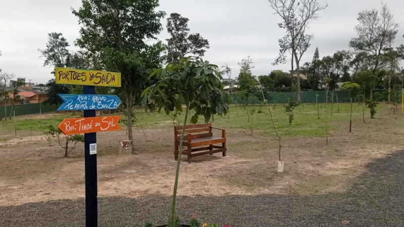 Parque Belinzoni recebe plantio de novas mudas