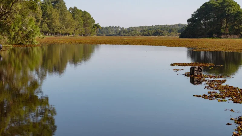 Prefeitura está realizando a limpeza da Lagoa da Tapera em Passo de Torres