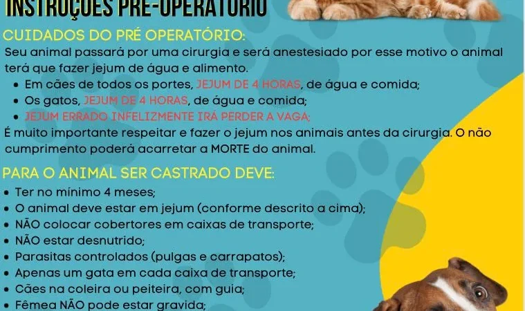Mutirão de castração