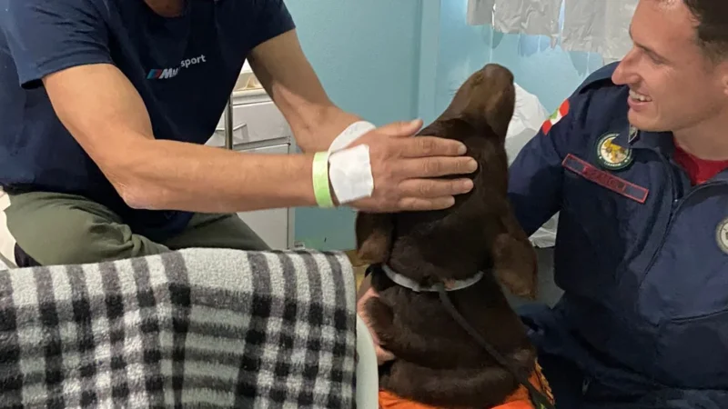 ”Patas que Curam”: projeto do CBMSC irá beneficiar internados no Hospital Regional de Araranguá