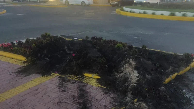 Destruição do canteiro