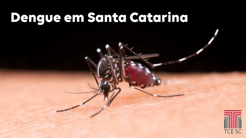 Número de infectados por dengue no Estado aumenta 1.799% entre 2016 e 2022, aponta levantamento do TCE/SC