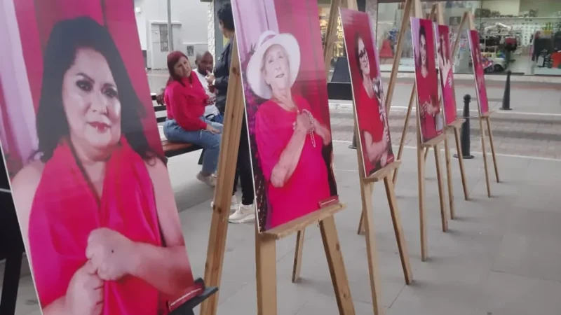 Campanha Outubro Rosa é Lançada em Araranguá com Exposição de Fotos de Sobreviventes de Câncer de Mama