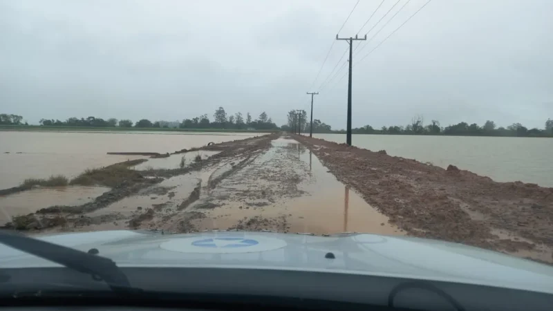 Chuvas deixam prejuízos de 15 milhões na agricultura e pecuária de leite em Meleiro