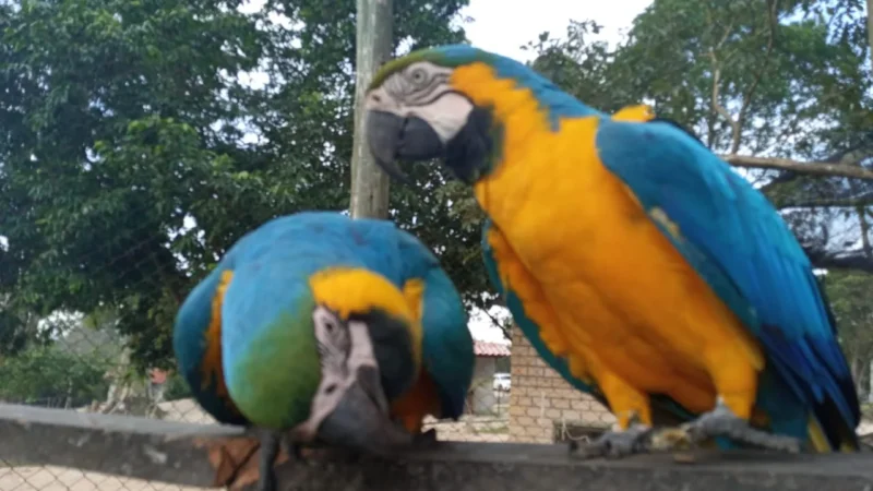 Parque Ecológico de Maracajá é opção lazer durante a temporada de verão