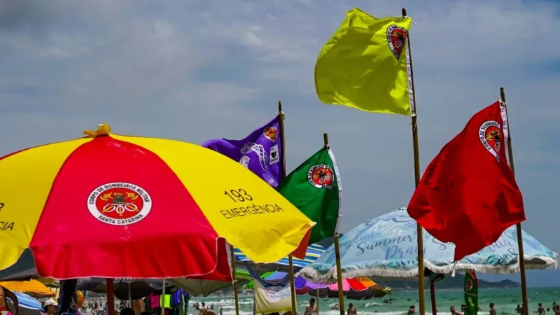 Estação Verão: o que significam as cores das bandeiras nas praias de Santa Catarina