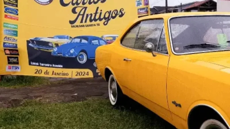 Gaivota vive um final de semana com muitas atrações