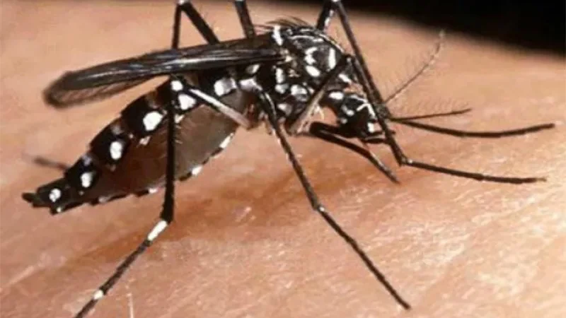 Ajude a combater a dengue, receba bem o agente de endemias