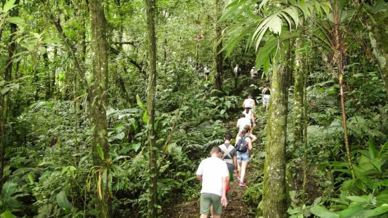 Coordenadores apresentam programa educativo do Geoparque