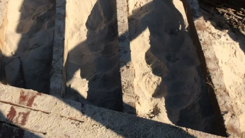 Vandalismo e roubo no paiquerê