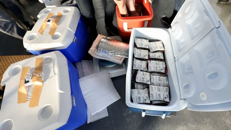 Santa Catarina soma 900 bolsas de sangue enviadas ao Rio Grande do Sul