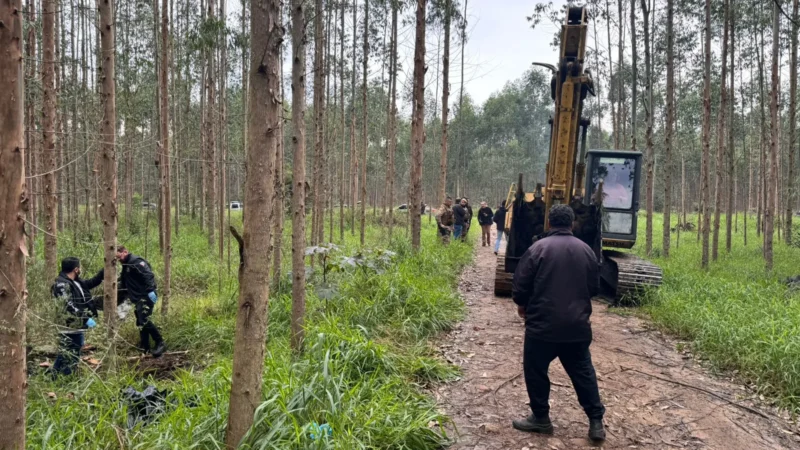 Três Corpos Encontrados em Praia de Santa Catarina