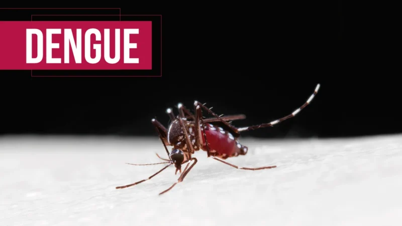 TCE/SC determina plano de contingência contra dengue em municípios